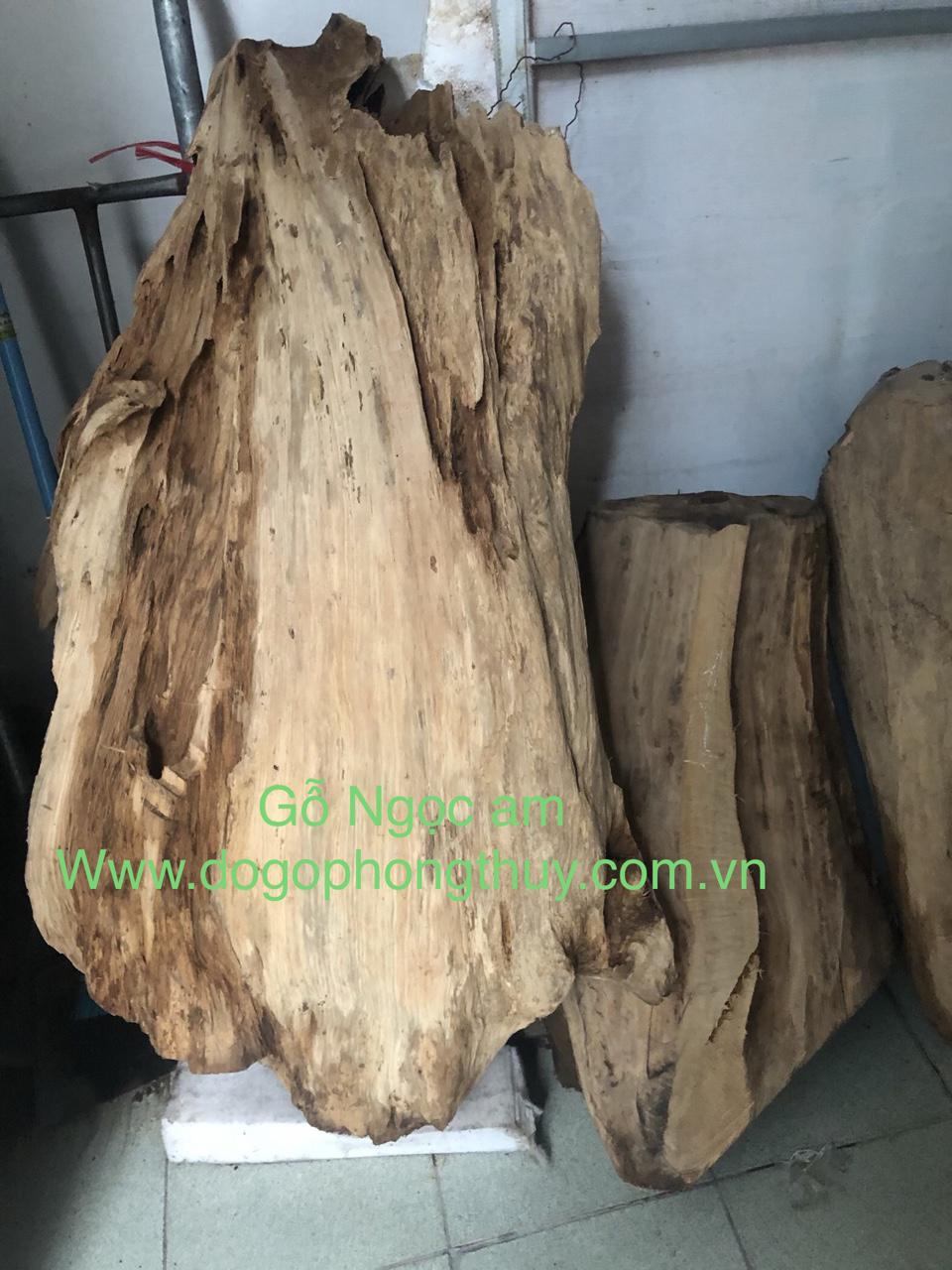 Loại gỗ quý hiếm bậc nhất mang tên gỗ ngọc am.