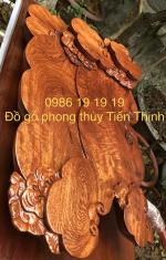 Khay trà nấm linh chi gỗ hương Krongpa Gia lai